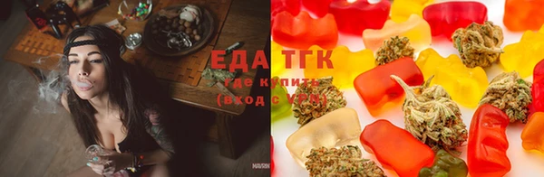 эйфоретик Аркадак