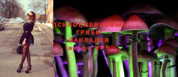 гидра Арсеньев