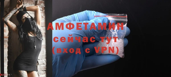 гидра Арсеньев