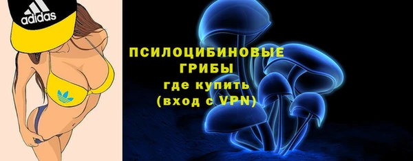 эйфоретик Армянск