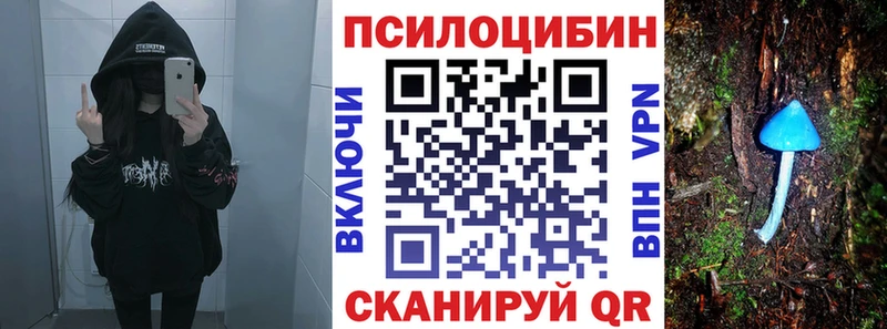 Галлюциногенные грибы GOLDEN TEACHER  как найти наркотики  Чернушка 